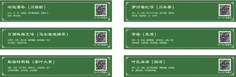 中医文化